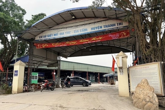 Cuốn sổ “ăn chia” và cơ chế “làm luật” phía sau 300 tấn lợn bệnh