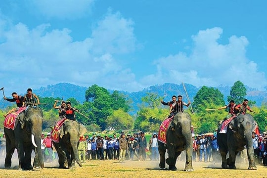 Tây Nguyên rực rỡ