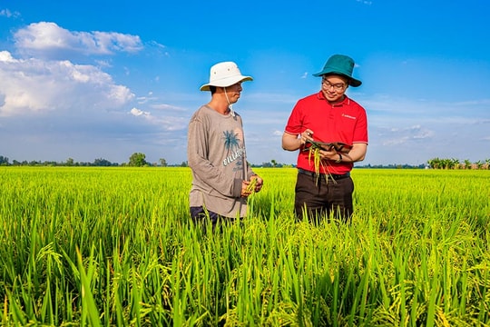 Agribank khẳng định bản lĩnh ngân hàng “trụ cột” qua các dự án trọng điểm quốc gia