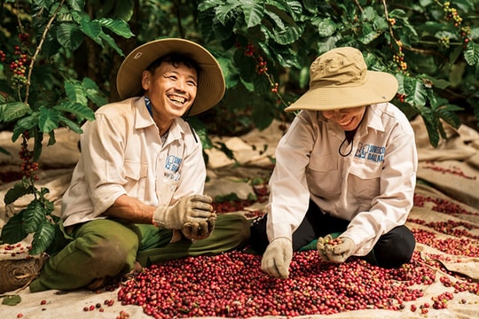 Doanh nghiệp ngành tỷ USD tìm đường lên chuỗi giá trị cao