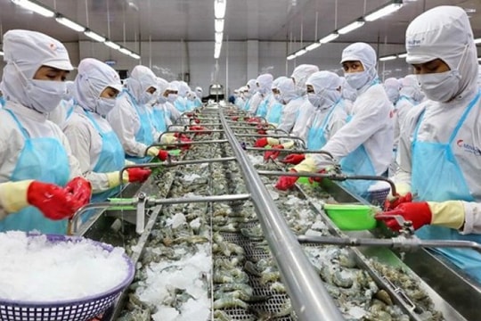 Minh bạch dữ liệu: Lợi thế cạnh tranh mới của thủy sản Việt