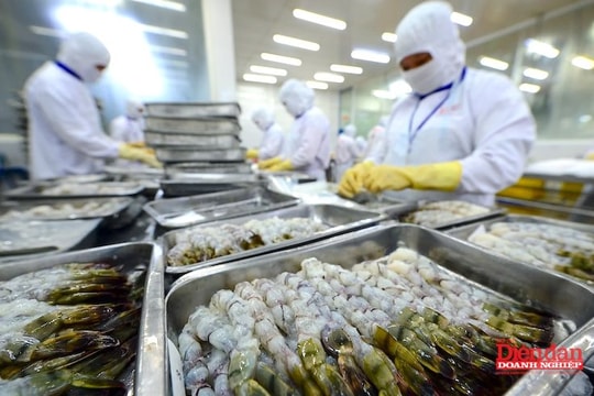 Từ “thẻ vàng” đến “thẻ xanh”: Cơ hội tái định vị ngành thủy sản