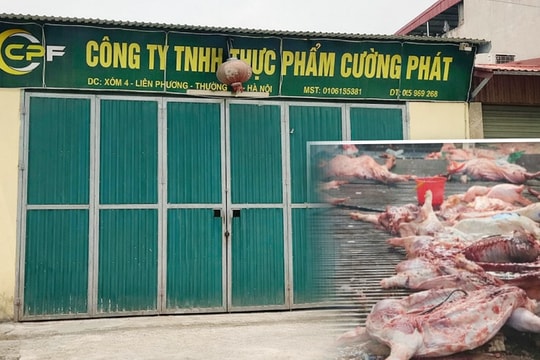 Giấy tờ “đạt chuẩn” – lá bùa cho thịt bẩn?