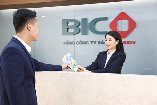 Bệ đỡ cho Bảo hiểm BIDV (BIC)