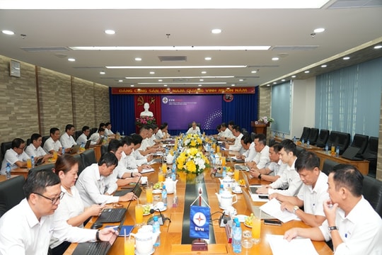 EVNHCMC đẩy nhanh tiến độ hiện đại hóa lưới điện khu vực Bình Dương, Vũng Tàu