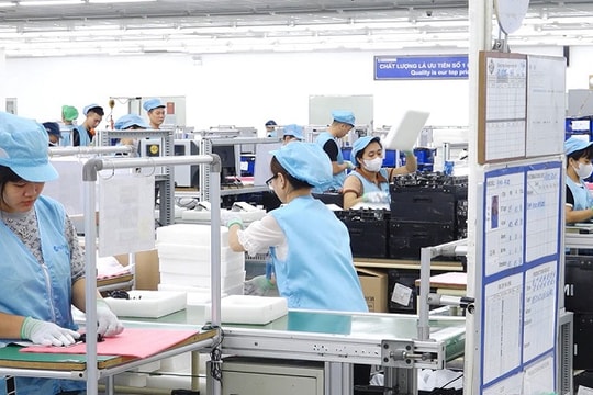 Công nghệ AI tạo sức bật mới cho doanh nghiệp Ninh Bình