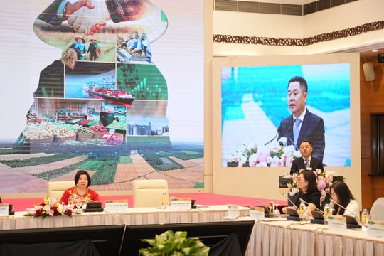 Tháo gỡ rào cản tín dụng, thúc đẩy liên kết HTX – doanh nghiệp