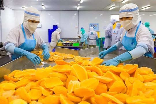 HungHau Foods đạt Top 500 doanh nghiệp tăng trưởng nhanh nhất Việt Nam