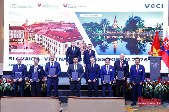 Nâng cấp quan hệ Việt Nam - Slovakia lên Đối tác chiến lược