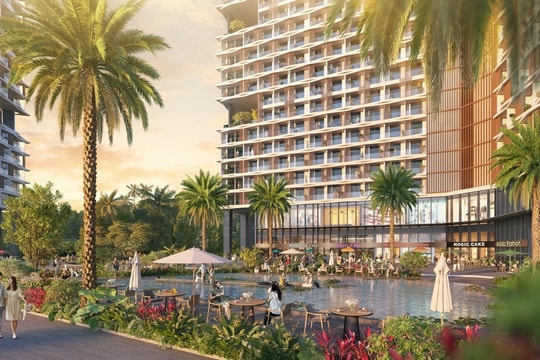 Lý do căn hộ Thanh Long đang “chiếm sóng” đầu tư tại Cát Bà