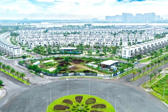 Novaland trở lại đường đua