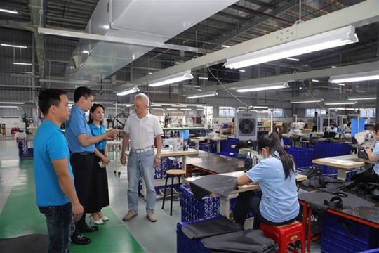 Hải Phòng: Kích hoạt "đòn bẩy" đặc thù, đưa kinh tế tư nhân thành động lực tăng trưởng hạt nhân