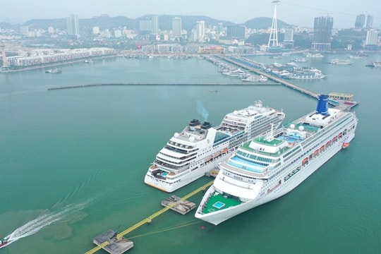 Quảng Ninh tăng tốc xúc tiến thị trường khách du lịch tàu biển