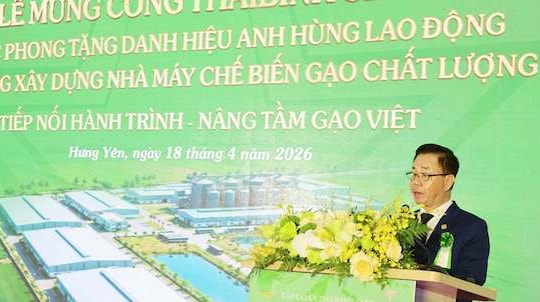 ThaiBinh Seed: "Cú hích" 1.000 tỷ đồng và khát vọng định vị lại bản đồ lúa gạo Việt Nam