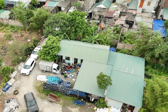 Quảng Ninh: Hàng tấn giá đỗ ngậm chất cấm bị triệt phá