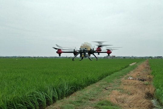 Hải Phòng: Số hóa để vươn tầm nông nghiệp