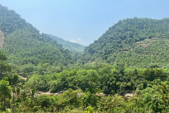 Phân hóa rõ rệt, bất động sản khu vực nào đang “lên ngôi” tại Đà Nẵng?