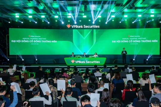 ĐHĐCĐ VPBankS: Thông qua kế hoạch tăng trưởng, kiện toàn bộ máy quản trị