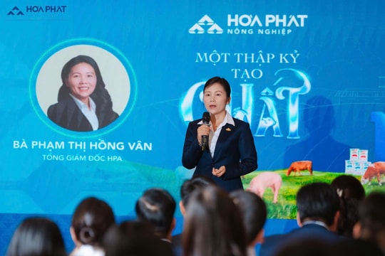 HPA: Không chạy theo tăng trưởng nóng, đặt lợi nhuận 2026 ở mức 1.005 tỷ đồng