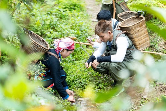 Lễ 30/4 đi đâu nếu sợ 'biển người'?