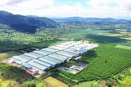 Lợi nhuận quý I/2026 OCB đạt 1.224 tỷ đồng, ghi nhận tăng trưởng ấn tượng