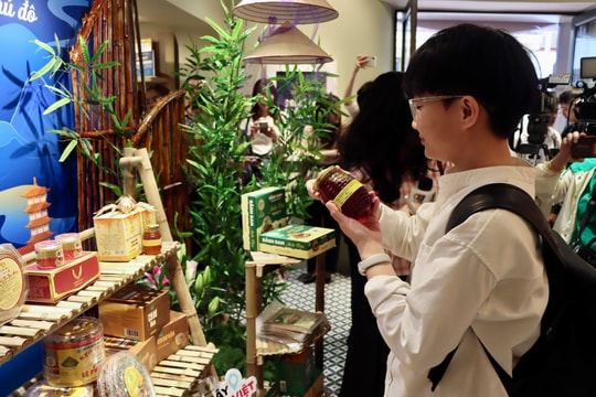 Check-in Tuần lễ đặc sản Hà Tĩnh tại Tràng Tiền: Đẹp mắt, lạ vị!