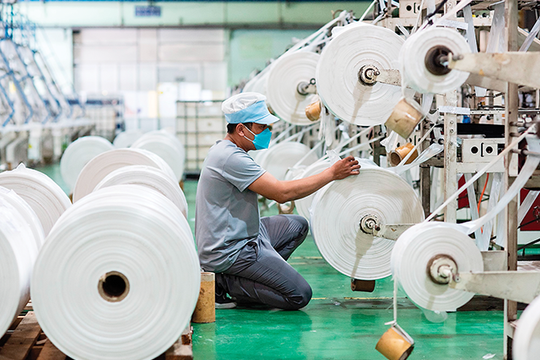 Bao bì xanh - "tấm vé thông hành” để hàng Việt chinh phục thị trường EU