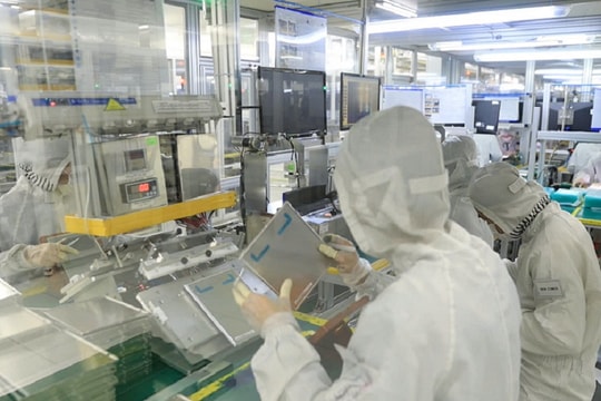 Hải Phòng tăng tốc đào tạo nhân lực thông minh đón đầu làn sóng công nghệ cao