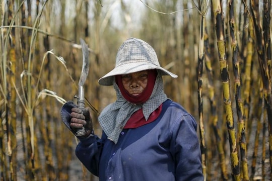 Châu Á ra sao trước đợt El Nino 'mạnh nhất'?