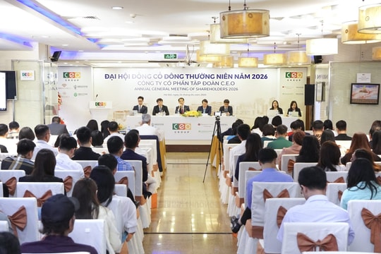 CEO Group kích hoạt chu kỳ tăng trưởng mới, hướng tới doanh thu 3.000 tỷ đồng