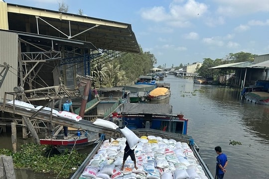 Giá lúa gạo trầm lắng