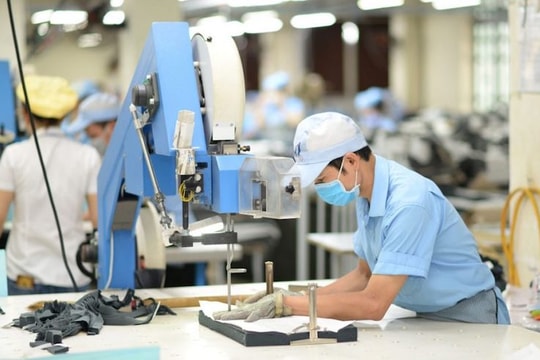 Doanh nghiệp dệt may xoay trục tăng trưởng