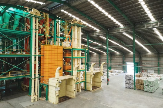 Greenfeed tăng trưởng mạnh mẽ bất chấp những thách thức từ ngành chăn nuôi