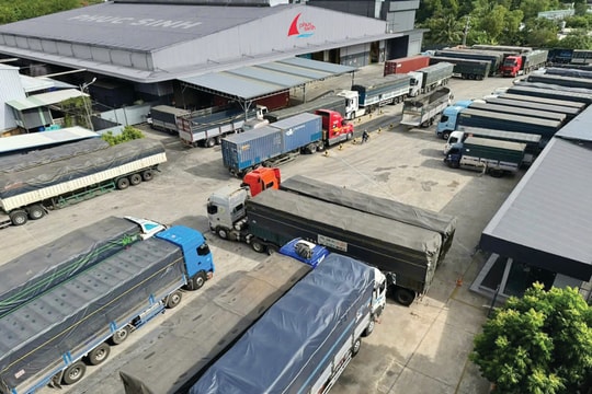 Nghị định 132/2020/NĐ-CP: Tạo áp lực cho doanh nghiệp xuất khẩu nông sản