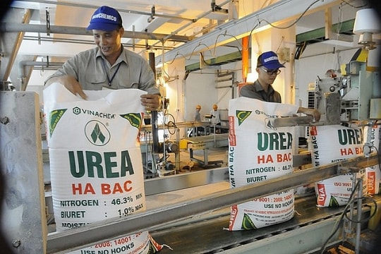 Giảm thuế để “mở khóa” thị trường phân bón