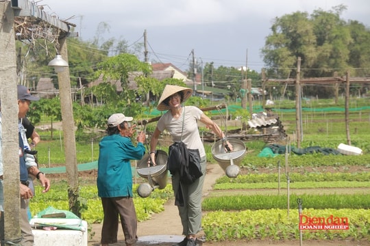 Đà Nẵng tạo dựng hệ sinh thái thực hành du lịch xanh