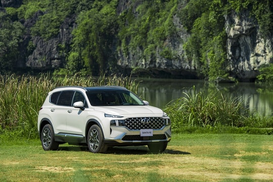 Cuộc đua hybrid tại Việt Nam: nhiều phân khúc, đa dạng lựa chọn