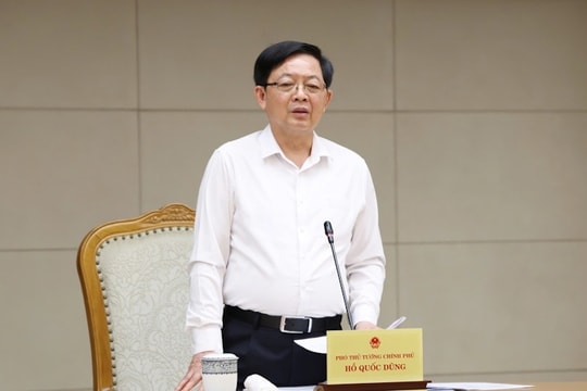Sớm hoàn thiện khung pháp lý, mở đường thị trường carbon rừng tại Việt Nam
