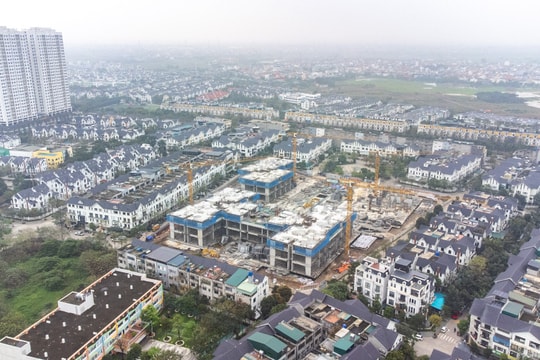 Thị trường bất động sản phân hóa mạnh, loại hình sản phẩm nào đang chiếm ưu thế?