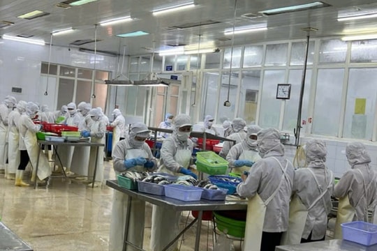 Gỡ "nút thắt" để cho nông sản Quảng Ninh vươn xa