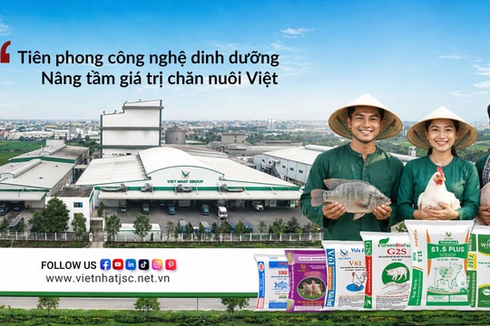 Việt Nhật Group và câu chuyện đầu tư tại Hưng Yên