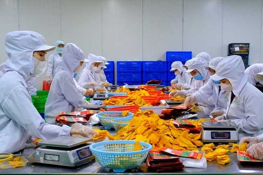 Kiến nghị tháo gỡ rào cản hiện thực mục tiêu xuất khẩu nông sản 74 tỷ USD