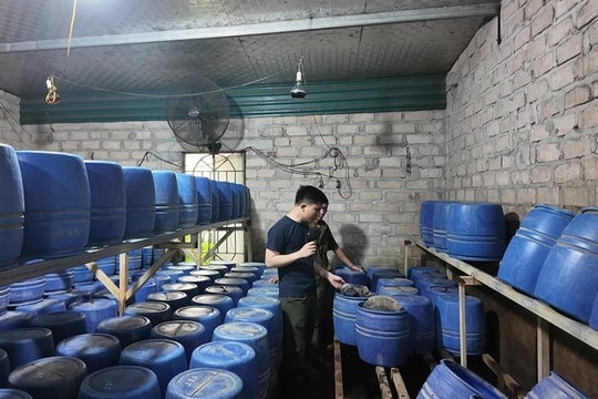 Quyết liệt "quét sạch" hóa chất cấm, lập lại trật tự an toàn thực phẩm