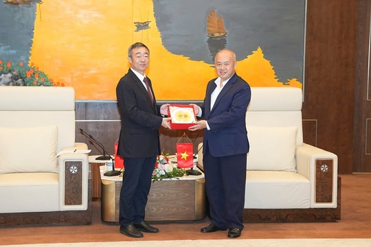Hải Phòng - Nam Ninh: Nâng tầm quan hệ đối tác chiến lược trong kỷ nguyên số