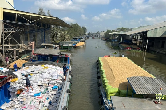 Philippines mong muốn hạn chế nhập khẩu gạo trong 90 ngày