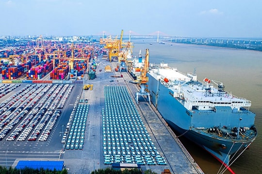 Đột phá năng lực khai thác tàu RoRo, khẳng định vị thế cửa ngõ logistics quốc tế