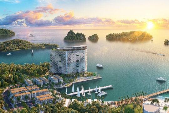 Vì sao không nên bỏ lỡ căn hộ Thanh Long tại trung tâm Cát Bà?