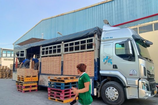 Bài toán chi phí logistics: Vì sao ngày càng nhiều doanh nghiệp chọn thuê xe tải thay vì mua mới?