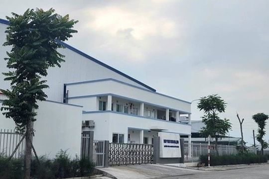 Quảng Ninh: Xử lý nghiêm doanh nghiệp đốt rác "chui"
