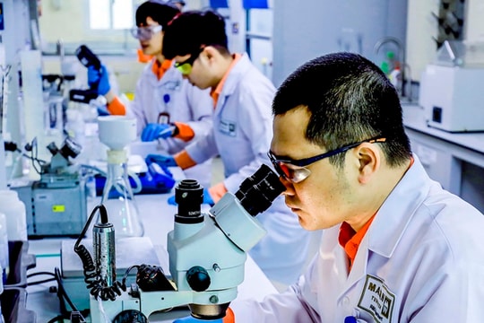 Cổ phiếu MSR hút nhà đầu tư trước thềm lên HOSE